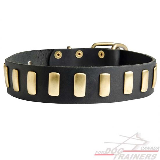 Gorgeous Wide Leather Dog Collar - Fashion Exclusive Design -  Special33plates [S26##1073 Leather Special Dog Collar Plates] - $38.99 :  Best quality dog supplies at crazy reasonable prices - harnesses, leashes,  collars, muzzles and dog training equipmen