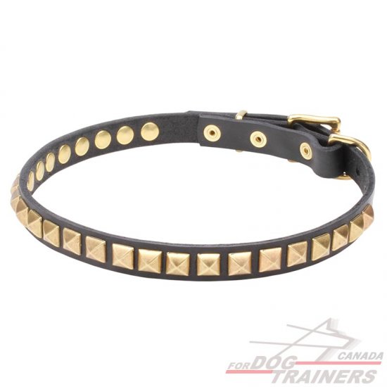 Brass studded dog outlet collar