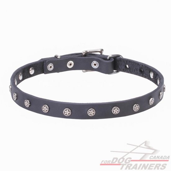 Buy Thin Leather Dog Collar | Nickel Plated Stars