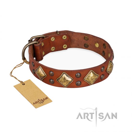 Fancy dog collars and shop leashes