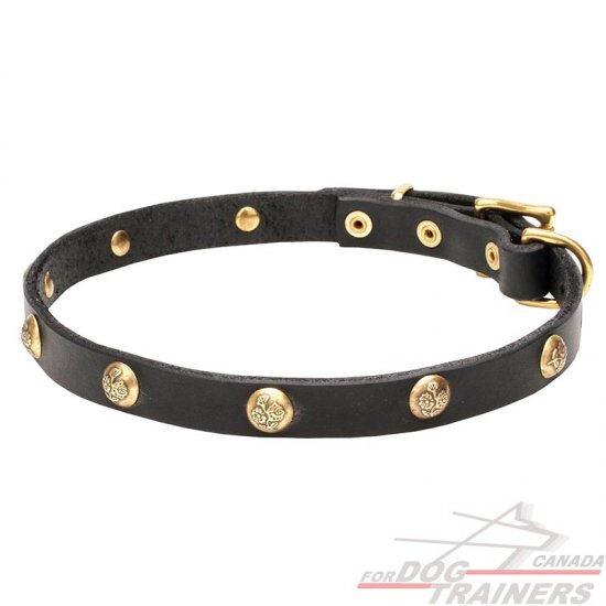 Dog collar hardware clearance canada