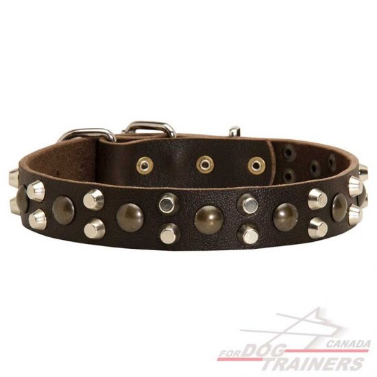 Designer leather dog collars sale