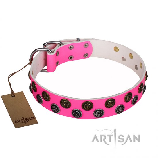 female dog accessories