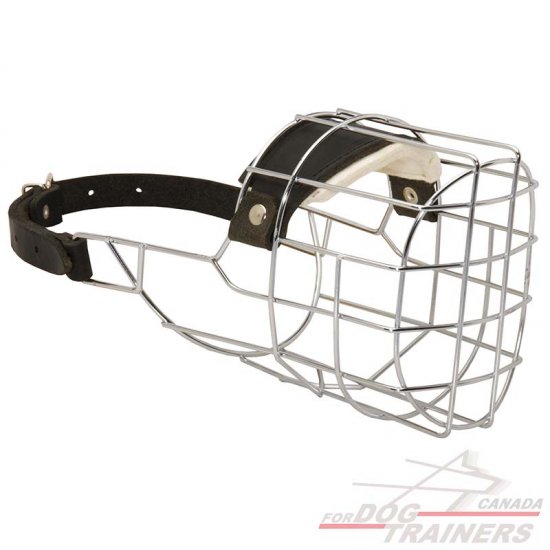 Wire sales basket muzzle