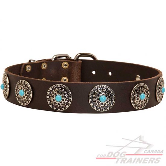 Dog collar sale with stones