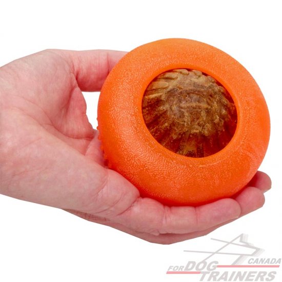 orange rubber dog ball