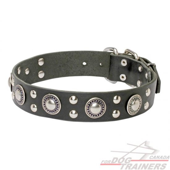 Black studded collar best sale