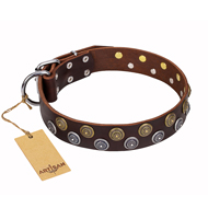 Strong Shields' FDT Artisan Brown Leather Dog Collar with Brass