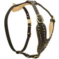 Royal Design Leather Newfoundland Harness with Brass Studs [H11##1118  Leather harness with Y-shaped chest plate&studs] : Newfoundland Breed: Dog  Harness, Muzzle, Collar, Leash, Dog Supplies