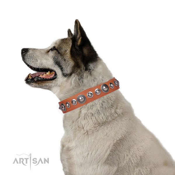 Trendy decorated genuine leather dog collar for comfortable wearing
