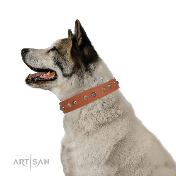 Leather dog collar with strong buckle and D-ring for daily walking