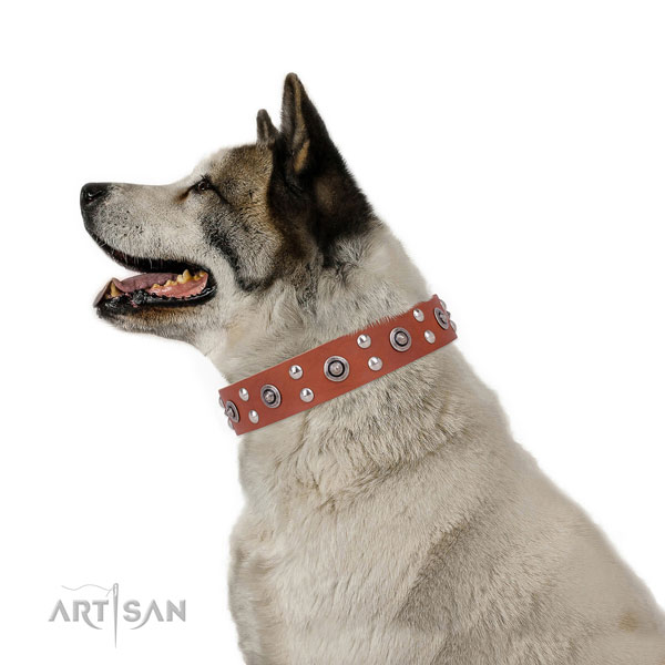 Comfy wearing dog collar with designer embellishments