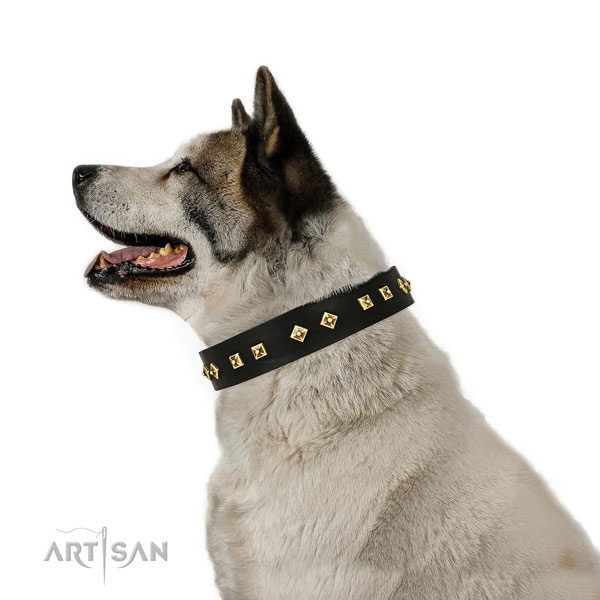 Stunning adornments on basic training full grain leather dog collar