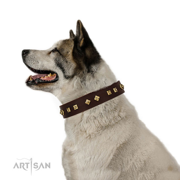 Top notch studs on easy wearing full grain genuine leather dog collar
