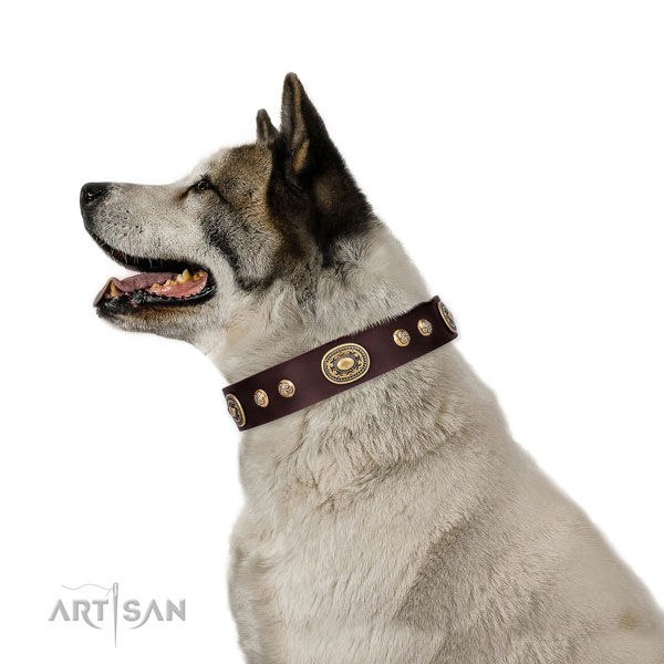 Awesome decorations on daily walking dog collar