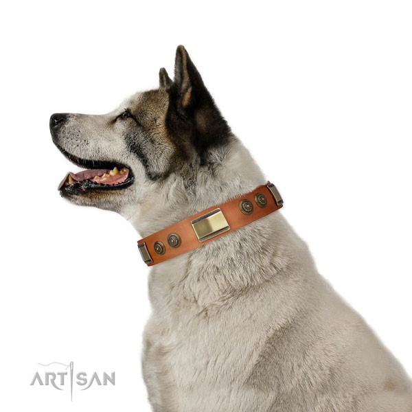 Designer decorations on daily use dog collar