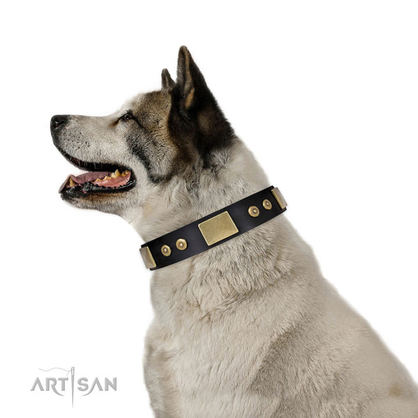 Reliable comfortable wearing dog collar of genuine leather