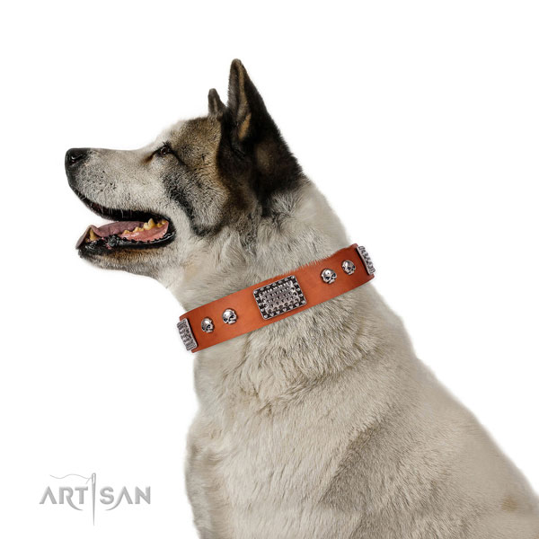 Easy to adjust full grain leather collar for your handsome pet