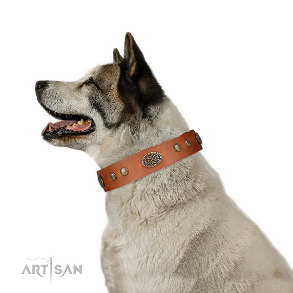 Rust resistant D-ring on leather dog collar for everyday walking