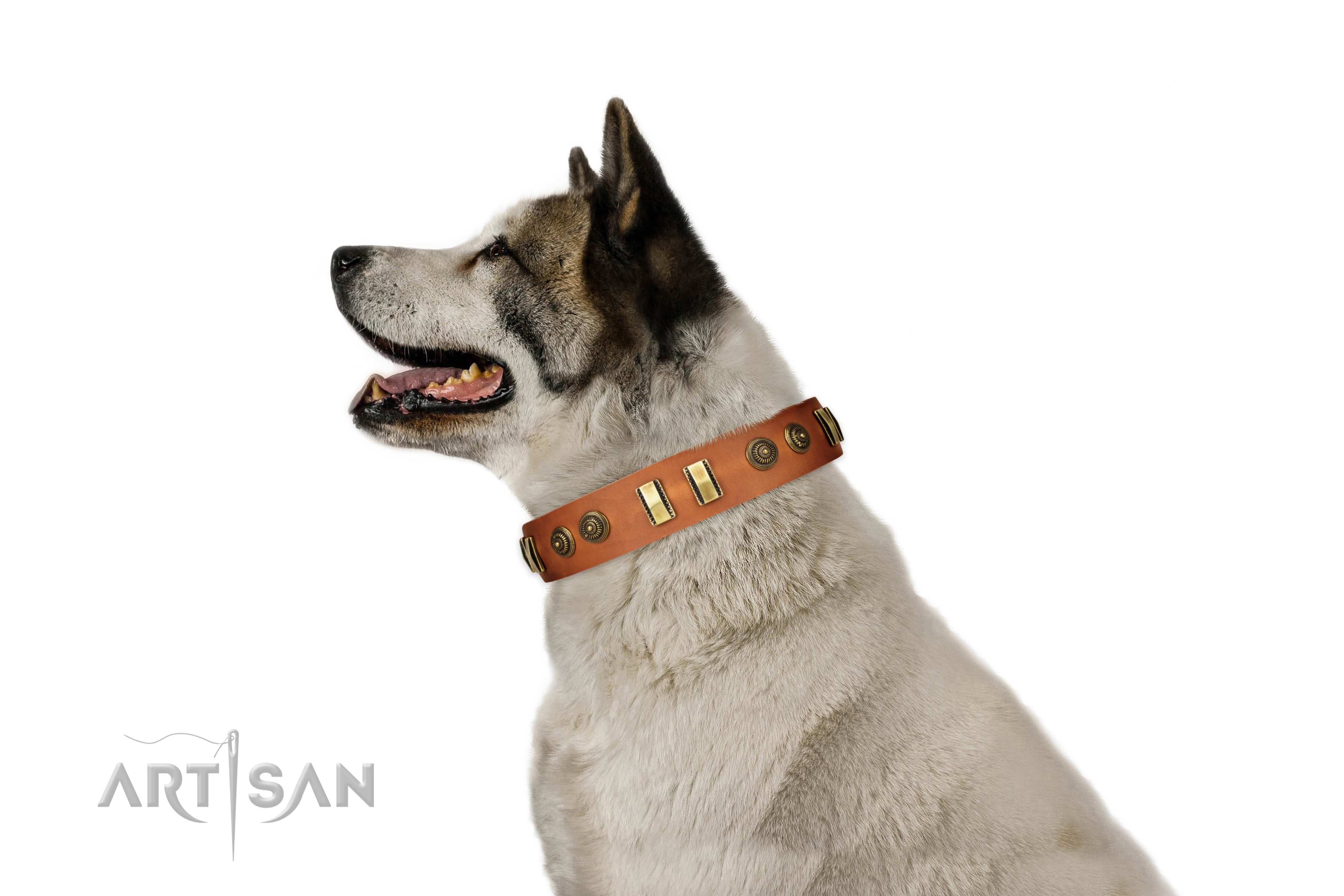 Rust-proof fittings on full grain genuine leather dog collar for everyday use