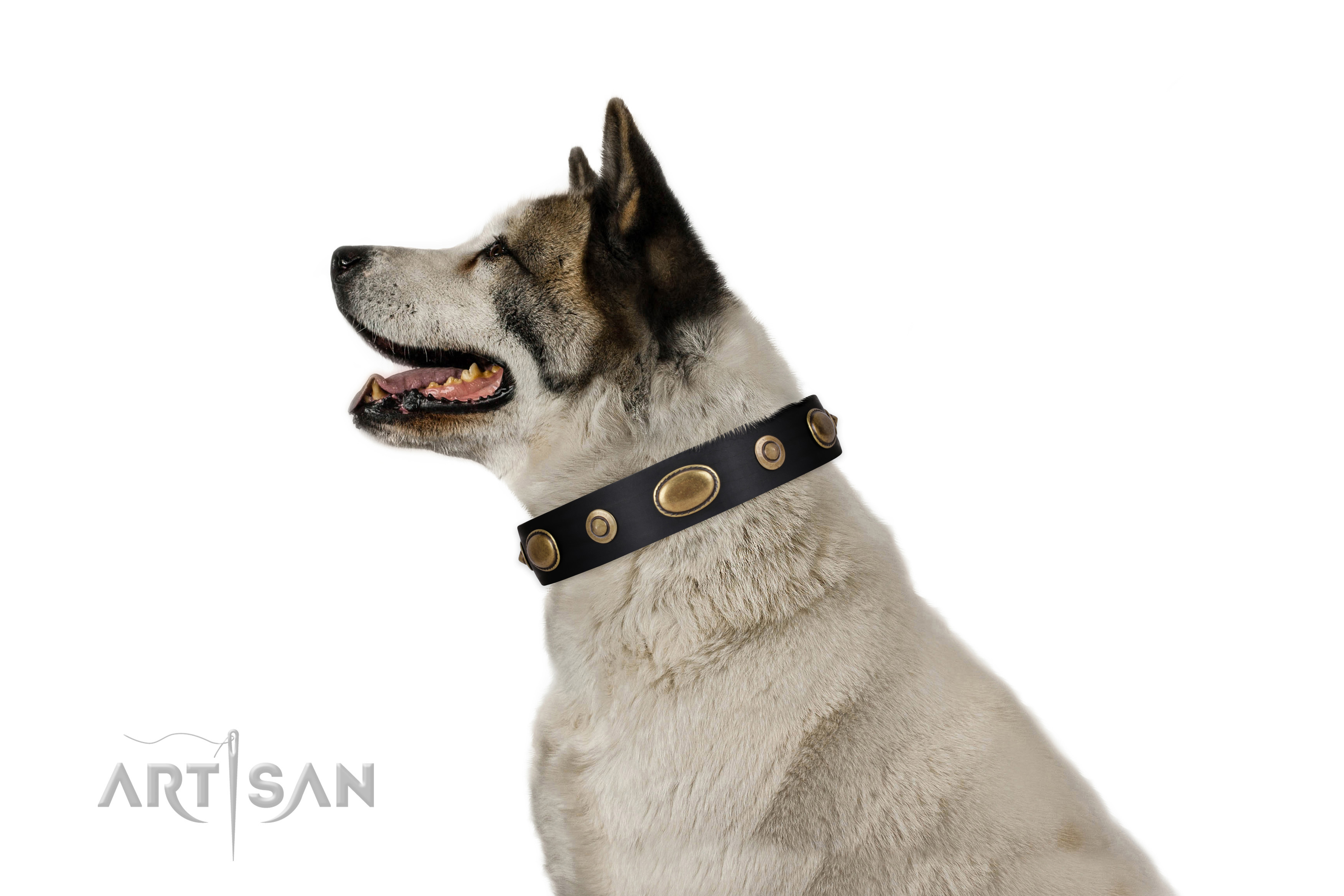 Comfy wearing dog collar of natural leather with exquisite adornments
