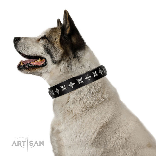 Basic training adorned dog collar of top notch natural leather