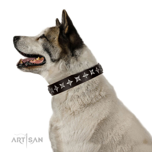 Handy use adorned dog collar of high quality genuine leather