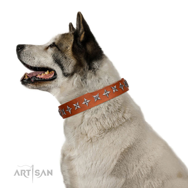 High quality full grain leather dog collar with stylish embellishments