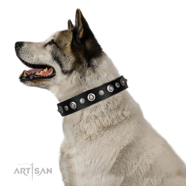 Fine quality leather dog collar with impressive embellishments