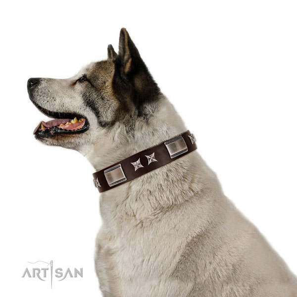Extraordinary collar of genuine leather for your impressive canine