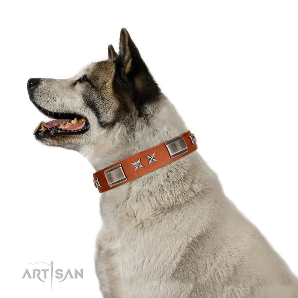 Walking soft to touch leather dog collar with embellishments