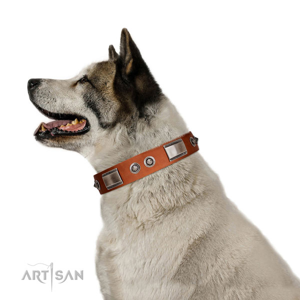 Easy adjustable natural leather collar with studs for your pet