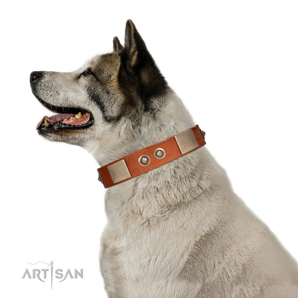 Rust resistant hardware on leather dog collar for comfortable wearing