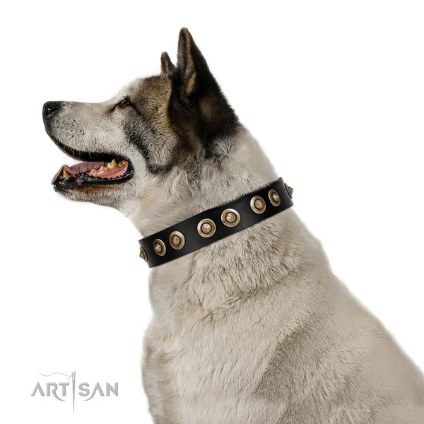 Comfortable wearing dog collar of natural leather with unique embellishments