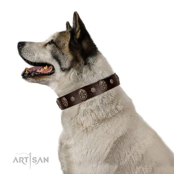 Stylish walking dog collar of genuine leather with inimitable embellishments