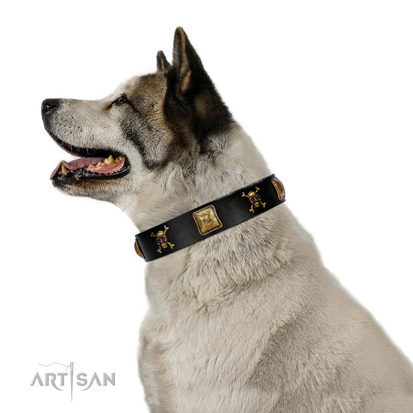 Gentle to touch natural leather dog collar with awesome studs