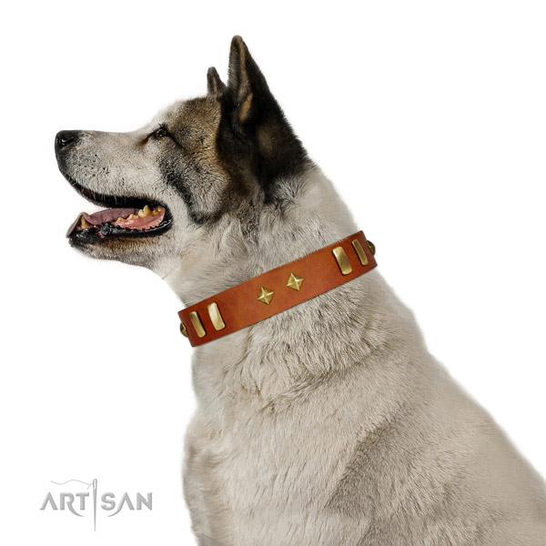Fancy walking best quality full grain leather dog collar with embellishments