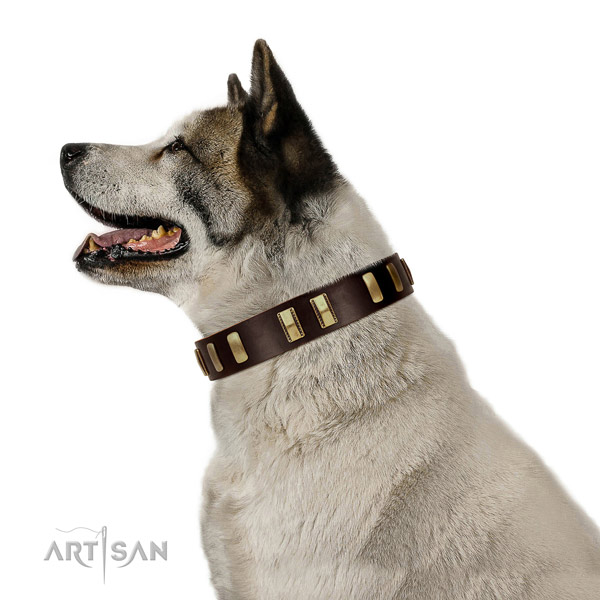 Genuine leather dog collar with awesome adornments for comfy wearing