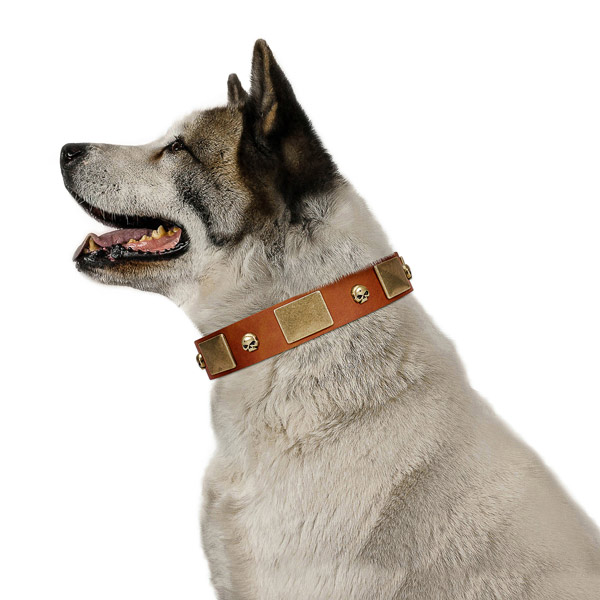 Gentle to touch full grain genuine leather dog collar with corrosion resistant traditional buckle