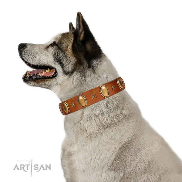 Designer adorned full grain leather dog collar of gentle to touch material