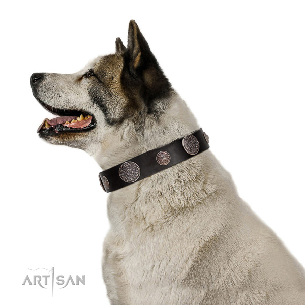 Leather dog collar with non-corrosive details for reliable pet managing