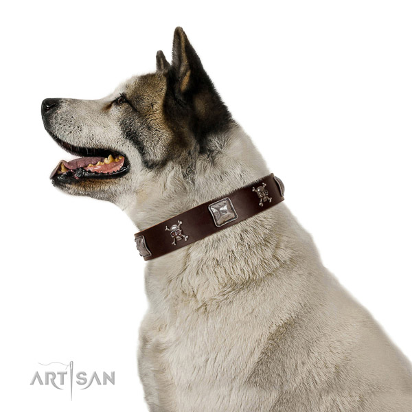 Top rate genuine leather dog collar for your beautiful doggie