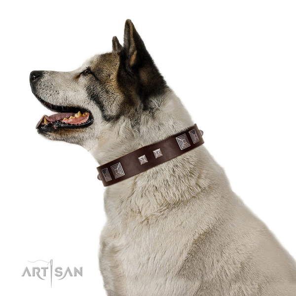 Full grain natural leather dog collar of soft material with inimitable adornments