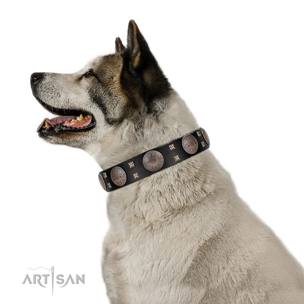 Stylish walking top notch full grain genuine leather dog collar with embellishments