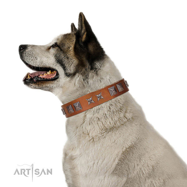 Genuine leather dog collar with stylish decorations created canine