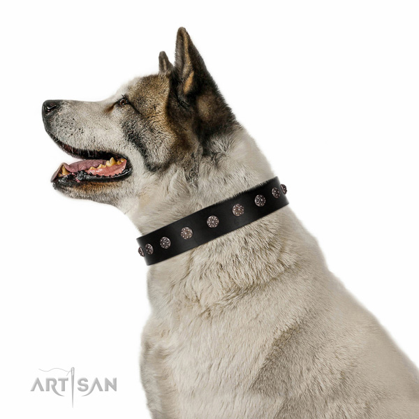 Fancy walking genuine leather dog collar with exquisite embellishments