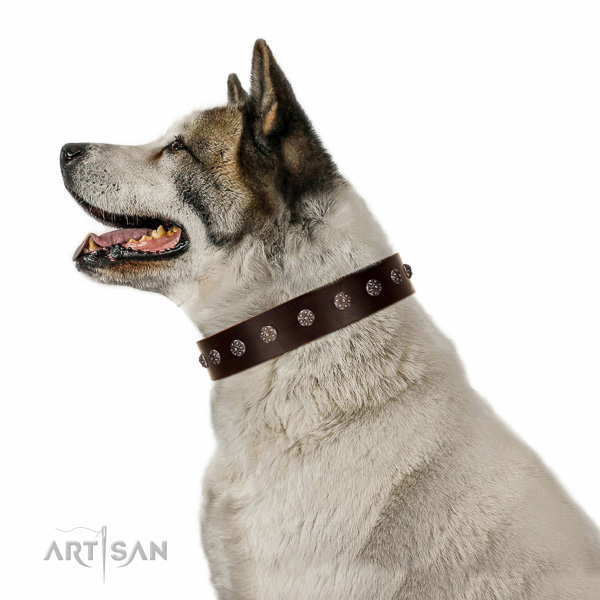 Reliable genuine leather dog collar with decorations for your pet
