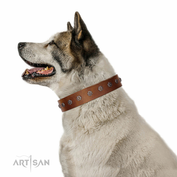 Best quality leather dog collar with adornments for your dog