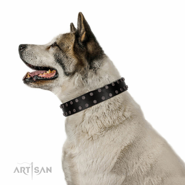 Embellished leather collar for easy wearing your canine