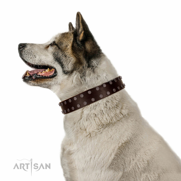 Studded natural leather collar for easy wearing your pet